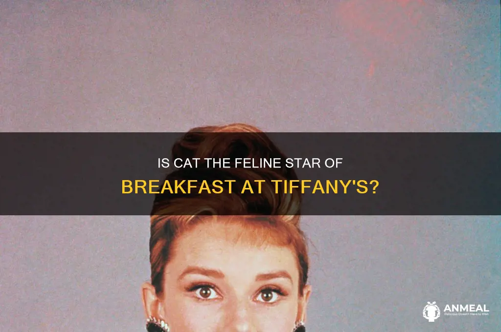 is cat the cat in the novel breakfast at tiffany