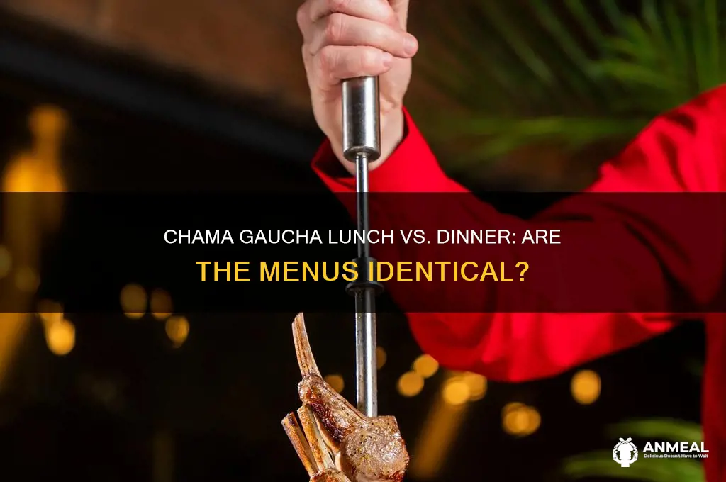 is chama gaucha lunch the same as dinner