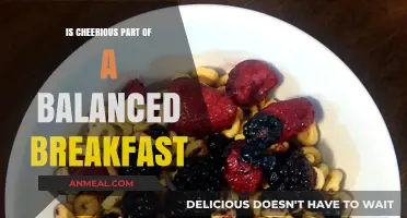 Cheerios and Balanced Breakfasts: Unraveling the Nutritional Truth