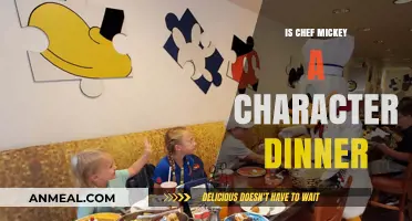 Chef Mickey's Fun Time Feast: Character Dining Experience Explained