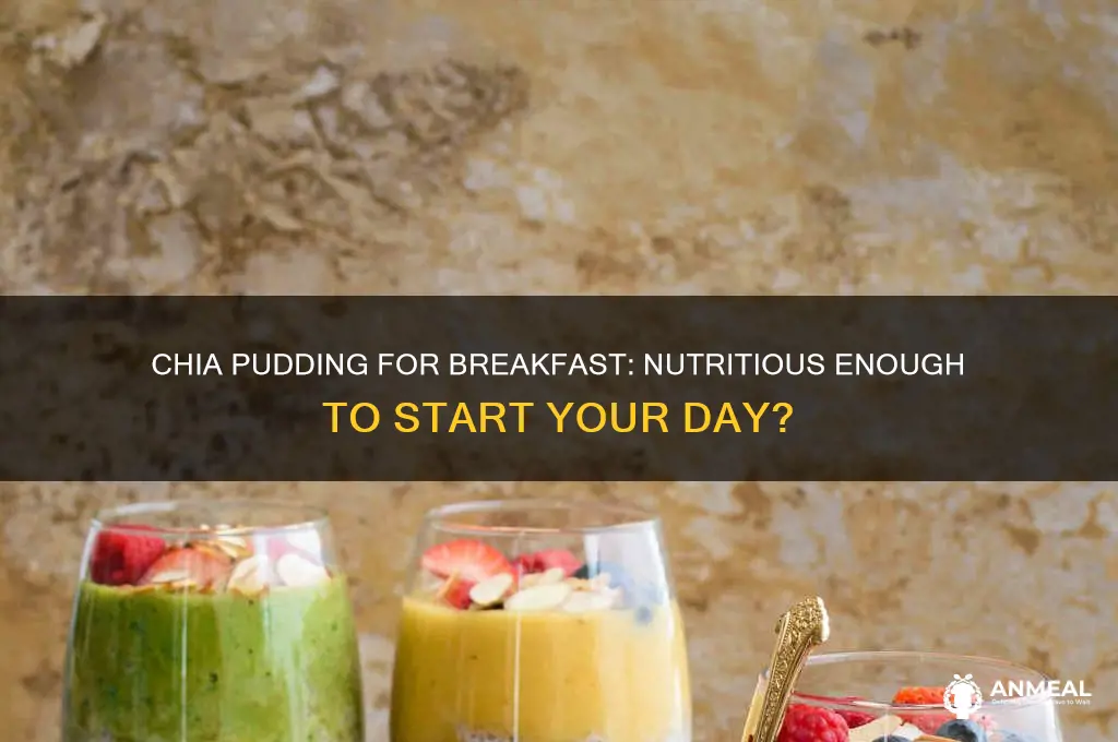is chia pudding enough for breakfast