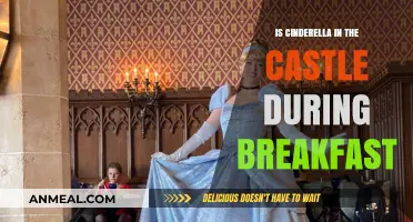 Cinderella's Morning Routine: Is She in the Castle at Breakfast?