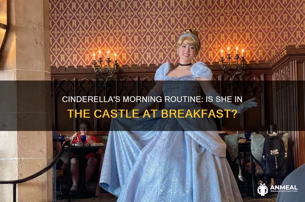 is cinderella in the castle during breakfast