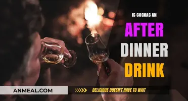 Cognac After Dinner: A Luxurious Digestif Tradition Explored