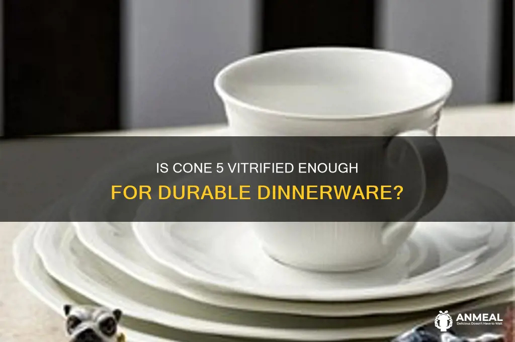 is cone 5 vitrified enough for dinner ware