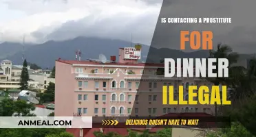 Is Hiring a Prostitute for Dinner Illegal? Legal Insights