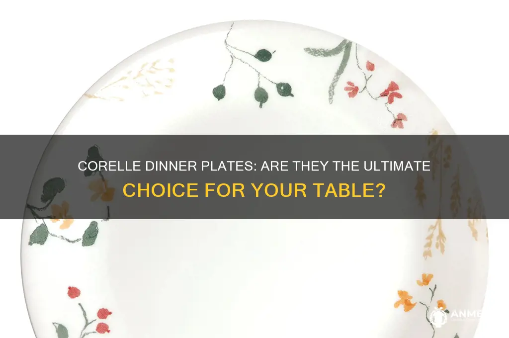 is corelle the best dinner plates