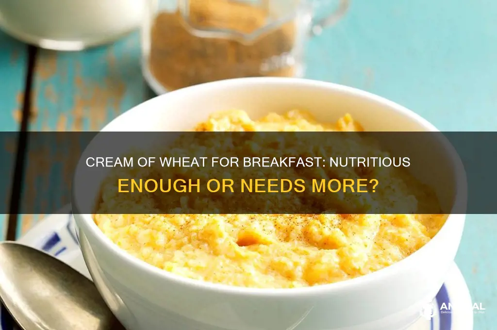 is cream of wheat enough for breakfast