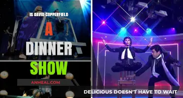 David Copperfield's Magic: Dinner Show or Standalone Spectacle?
