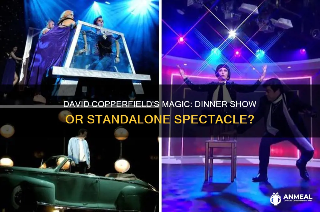 is david copperfield a dinner show