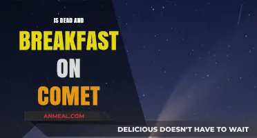 Exploring the Bizarre Concept of Dead and Breakfast on a Comet