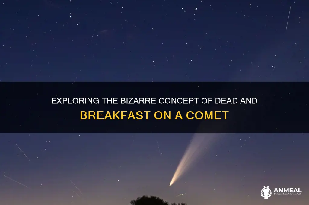 is dead and breakfast on comet