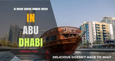 Dhow Cruise Dinner Creek Experience in Abu Dhabi: Worth It?