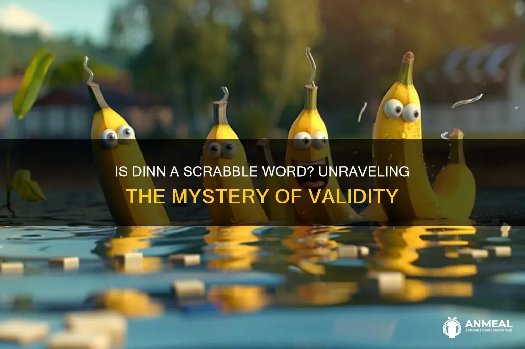 is dinn a scrabble word