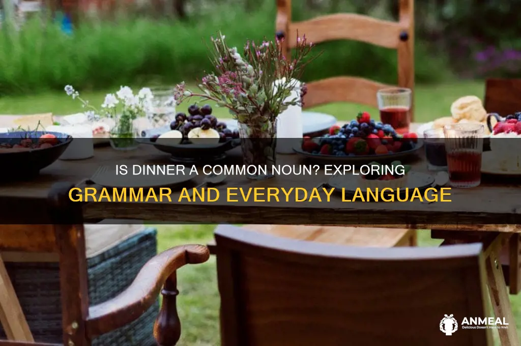 is dinner a common noun