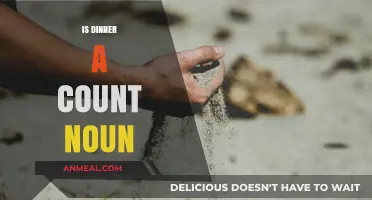 Is Dinner a Count Noun? Exploring the Grammar of Mealtime Terminology