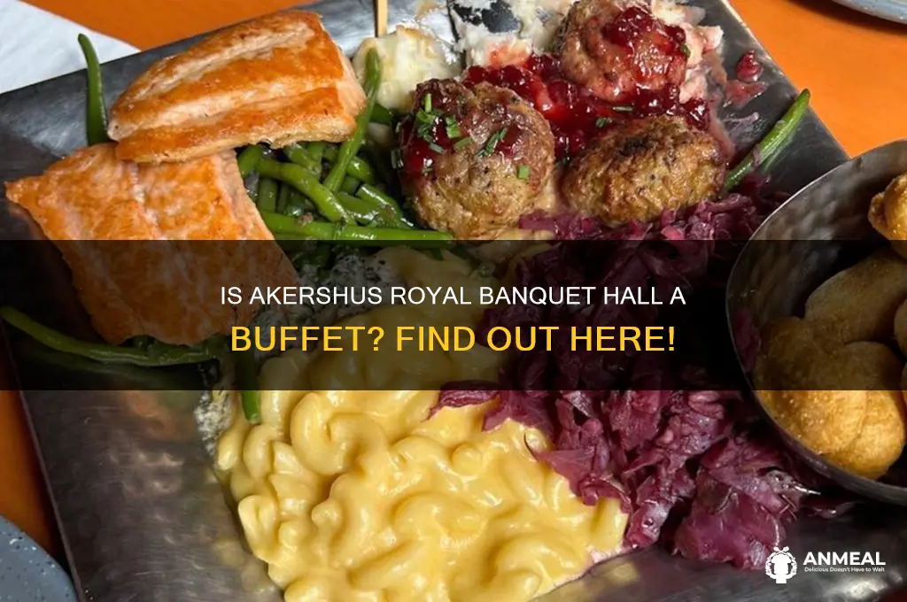 is dinner at akershus a buffet