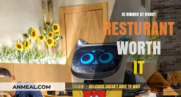Is Robot Restaurant's Dinner Experience Worth the Hype and Price?