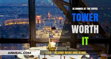 Eiffel Tower Dining: A Memorable Experience or Overpriced Hype?