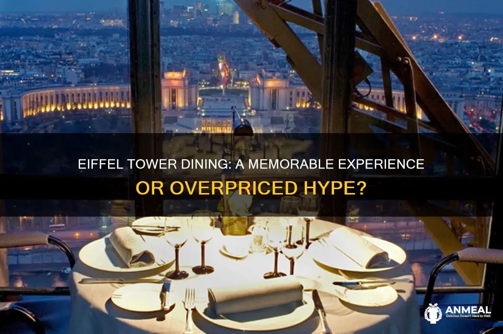 is dinner at the eiffel tower worth it