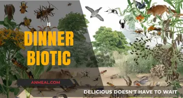 Is Dinner Biotic? Exploring the Living Components in Our Meals