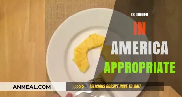 Is Dinner in America Appropriate? Cultural Norms and Etiquette Explored