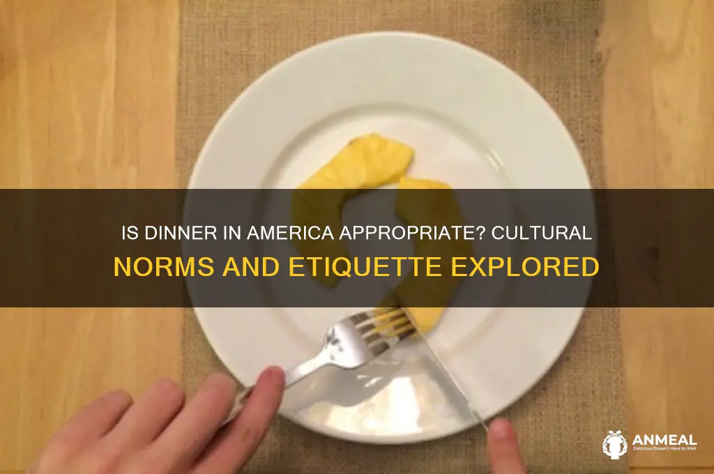 is dinner in america appropriate