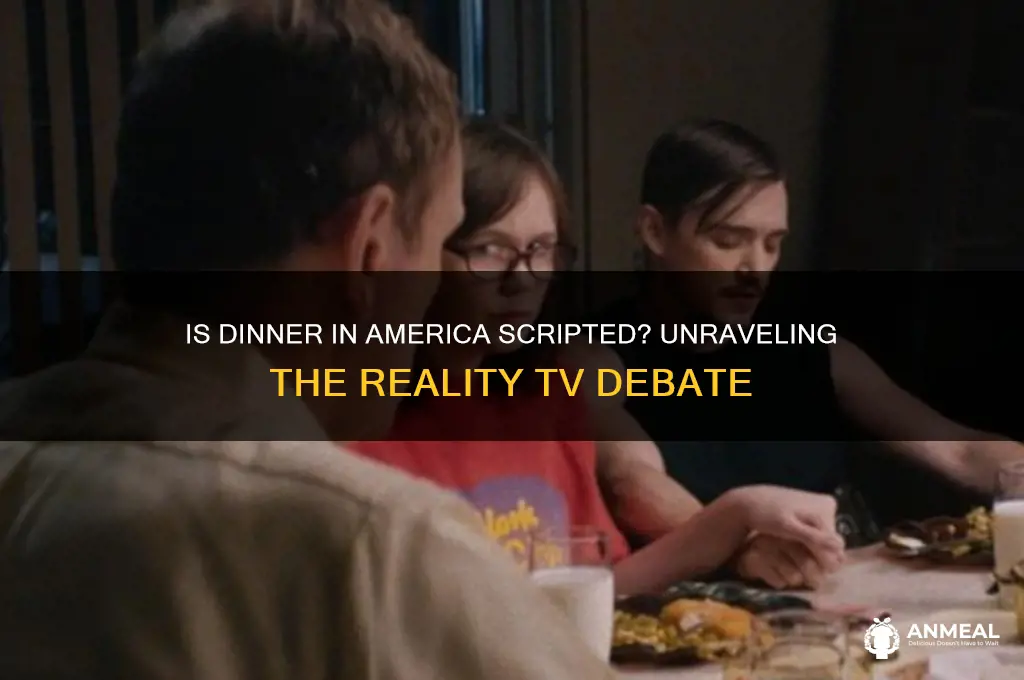 is dinner in america scripted