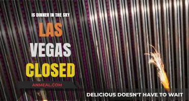 Is Dinner in the Sky Las Vegas Permanently Closed? Find Out Now