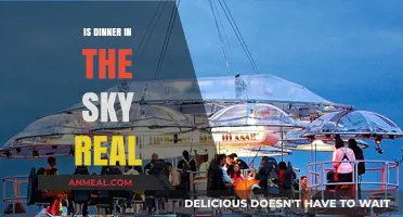 Is Dinner in the Sky Real? Exploring the High-Flying Culinary Adventure