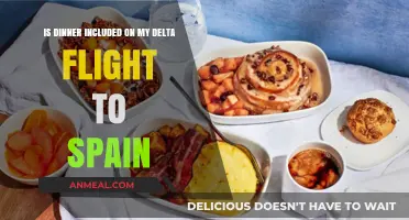 Delta Flight to Spain: Does Your Ticket Include Dinner?