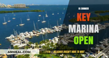 Is Dinner Key Marina Open? Current Status and Visitor Information