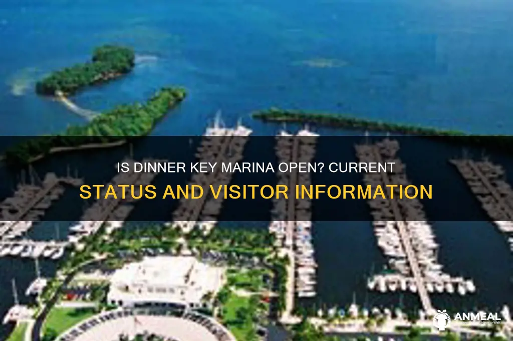 is dinner key marina open