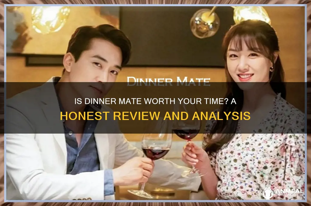 is dinner mate worth watching