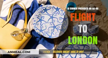 Does AA 46 Flight to London Include Dinner? Find Out Here