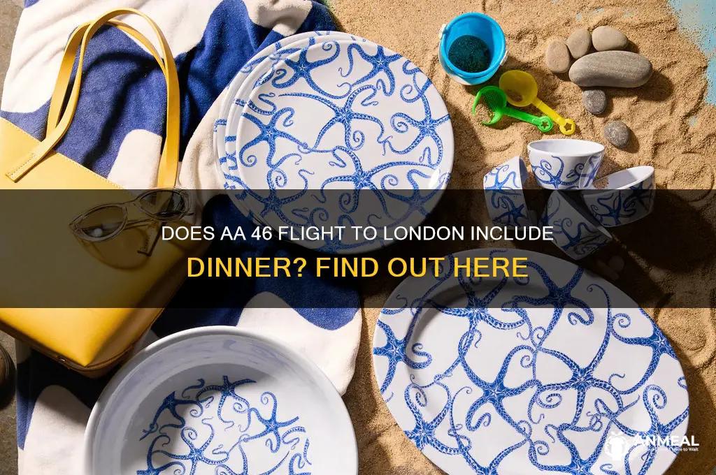 is dinner provided on aa 46 flight to london