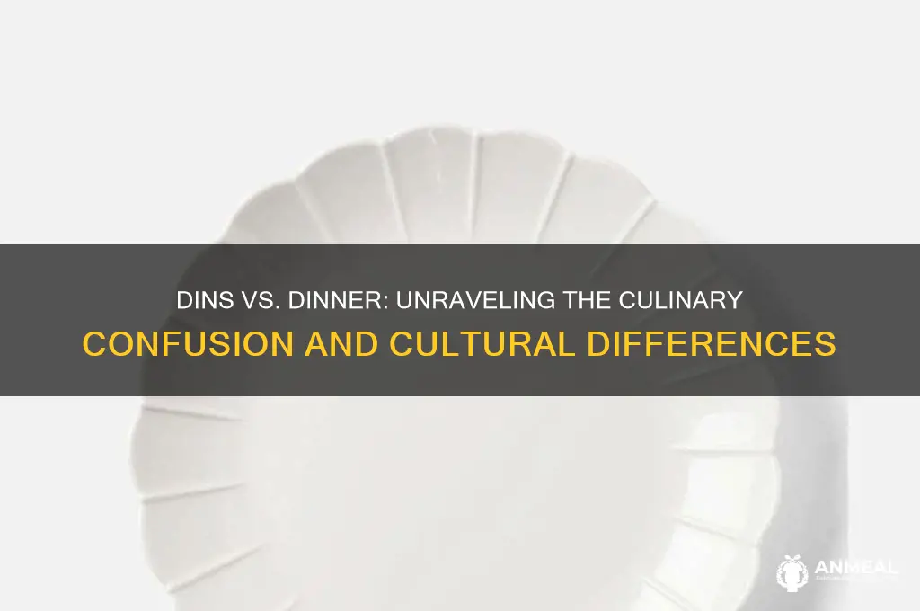 is dins the same as dinner