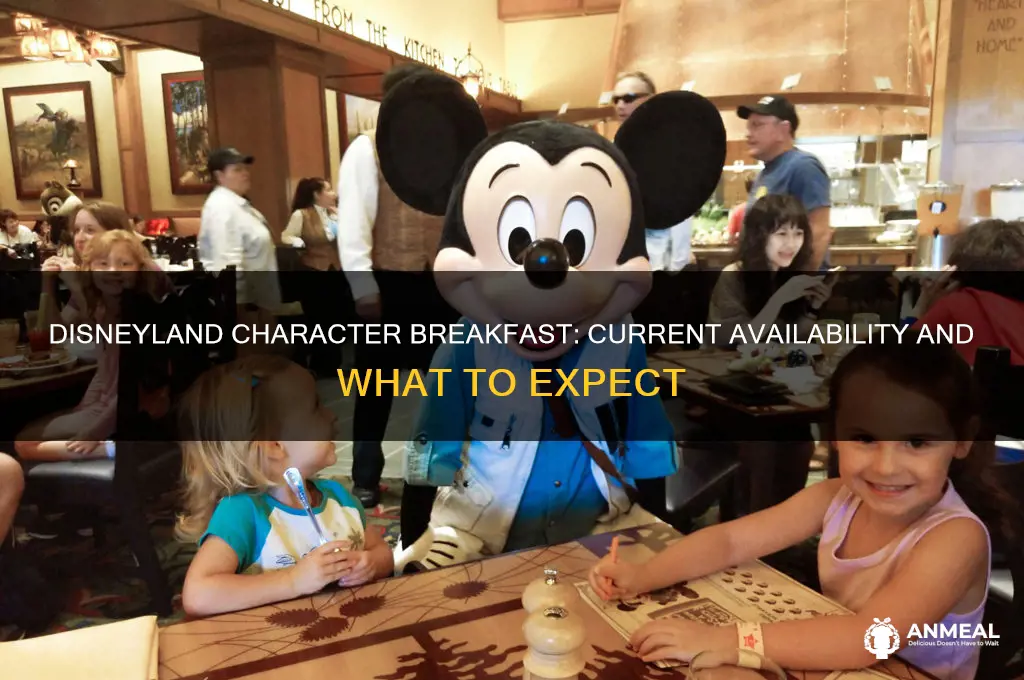 is disneyland doing character breakfast