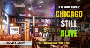 Is Dr. Arnold Dinner of Chicago Still Alive Today?