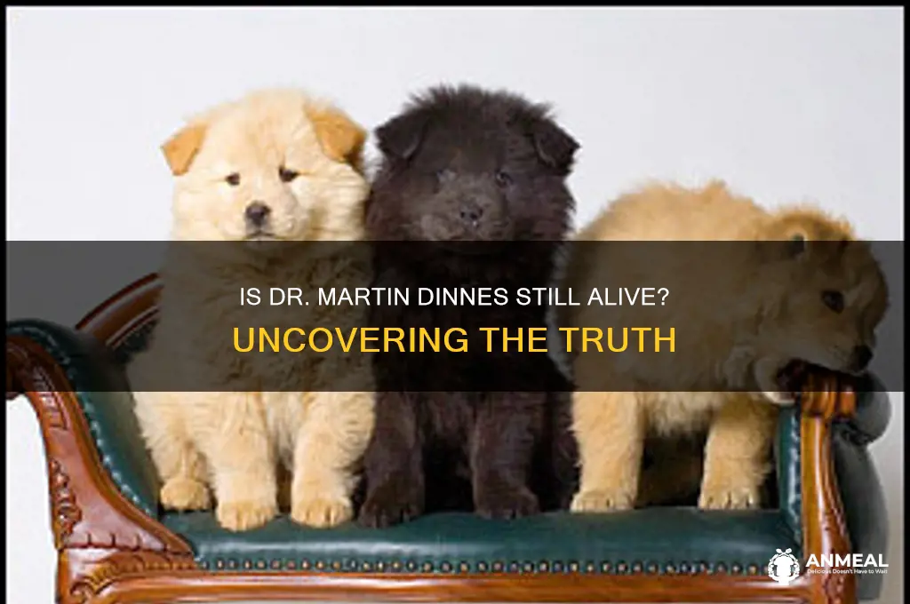 is dr martin dinnes still alive