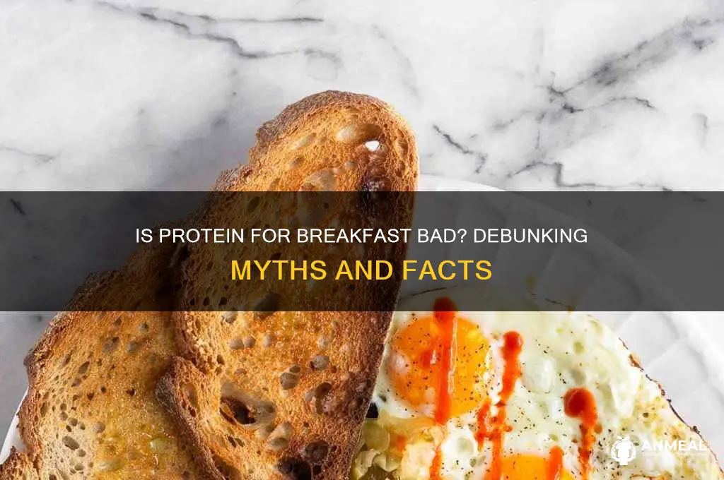 is drinking protein for breakfast bad