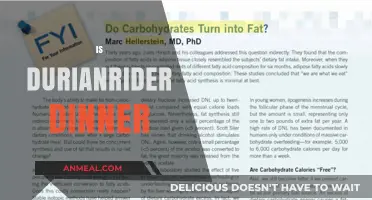 Is Durianrider's Dinner Healthy? Exploring the Controversial Diet Plan
