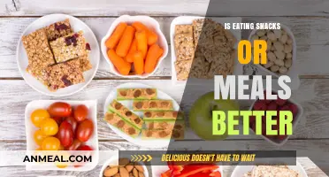 Snacking vs. Meals: Which Eating Style Suits You Best?