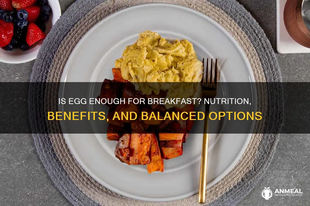 is egg enough for breakfast