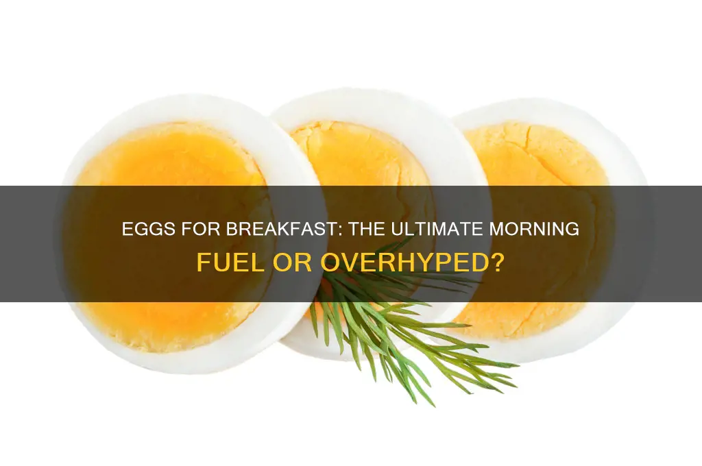 is eggs the best breakfast