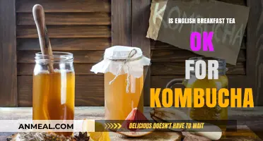 Can You Brew Kombucha with English Breakfast Tea? Find Out!