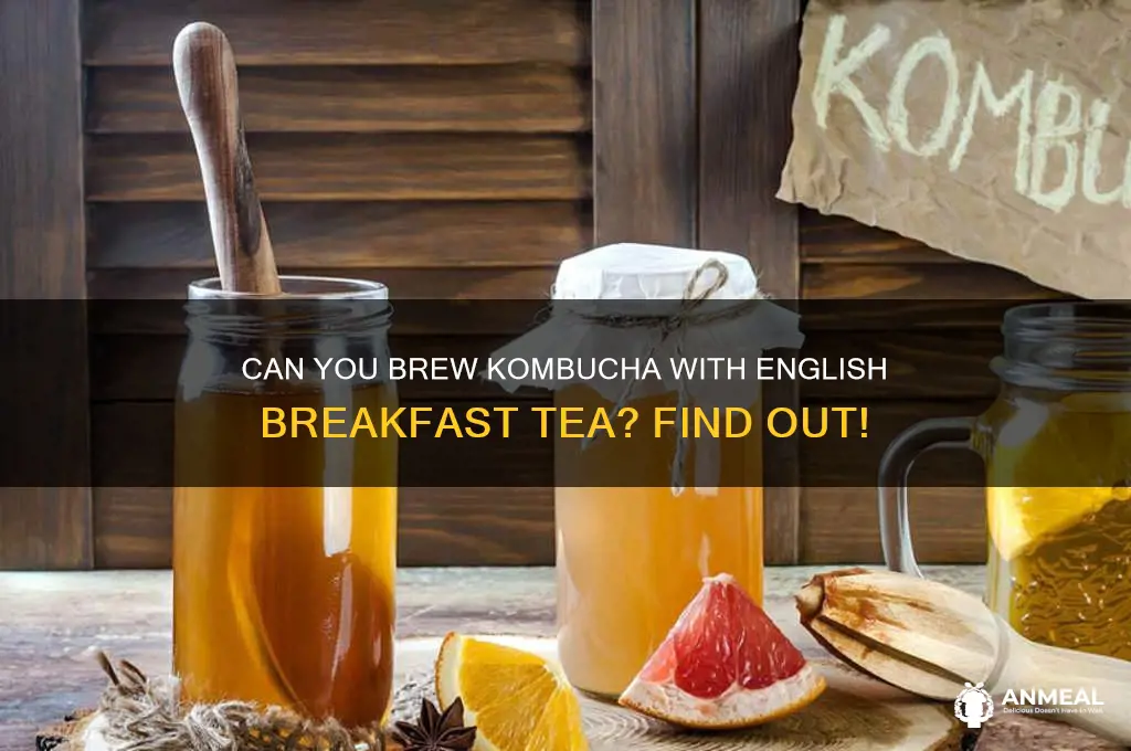 is english breakfast tea ok for kombucha