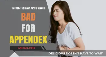 Post-Dinner Workouts: Are They Risky for Your Appendix Health?