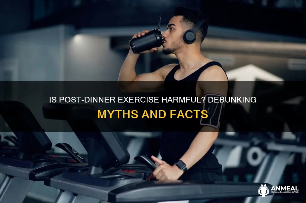 is exercising after dinner bad