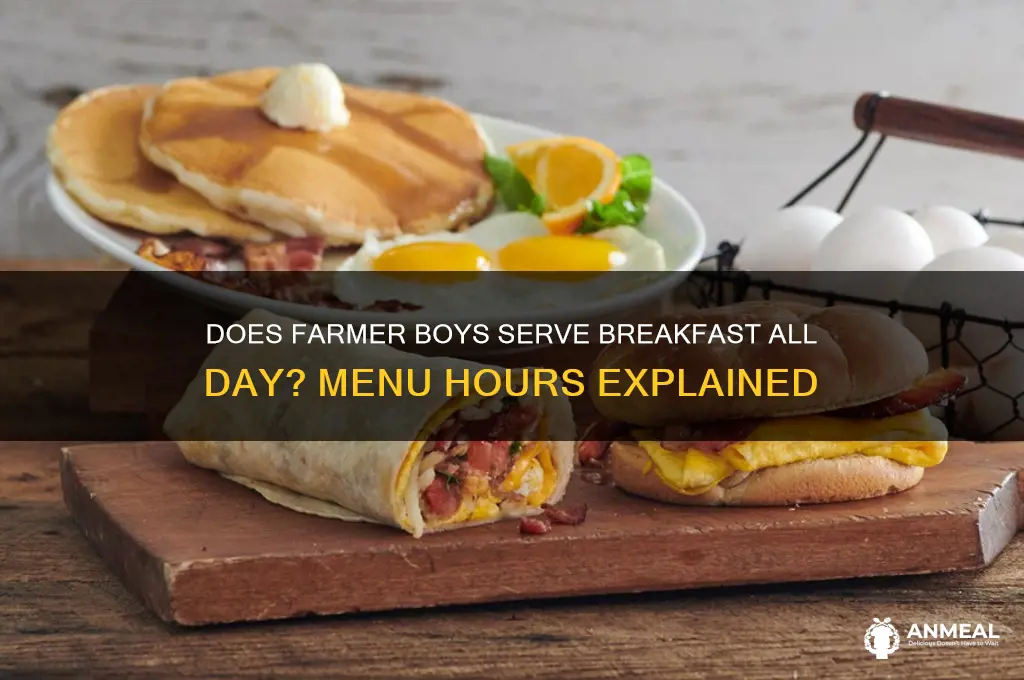 is farmer boys breakfast all day